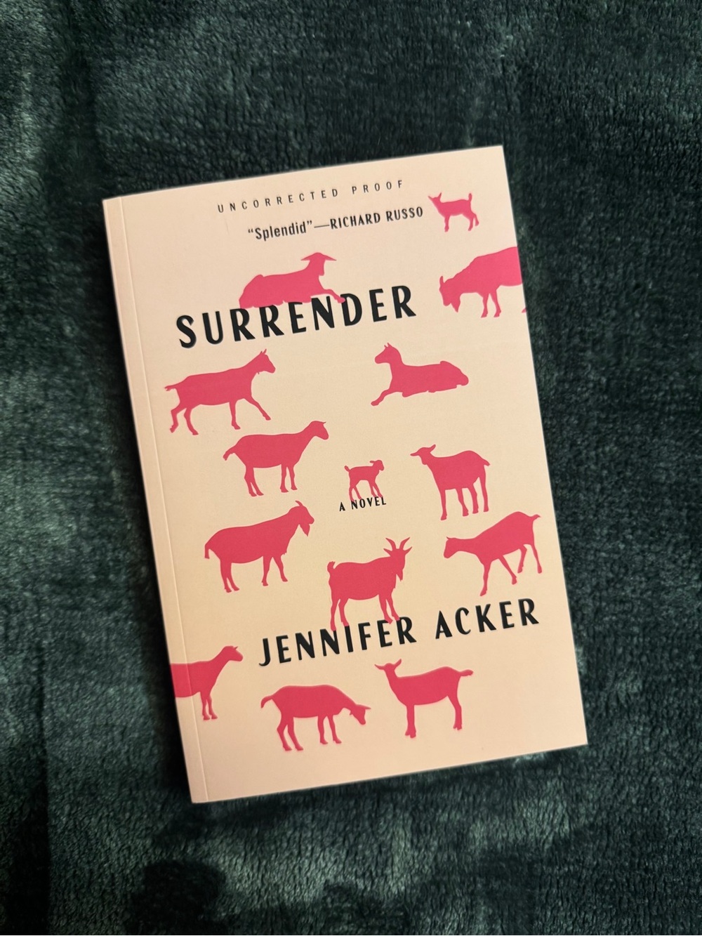 💜 Surrender by Jennifer Acker ARC